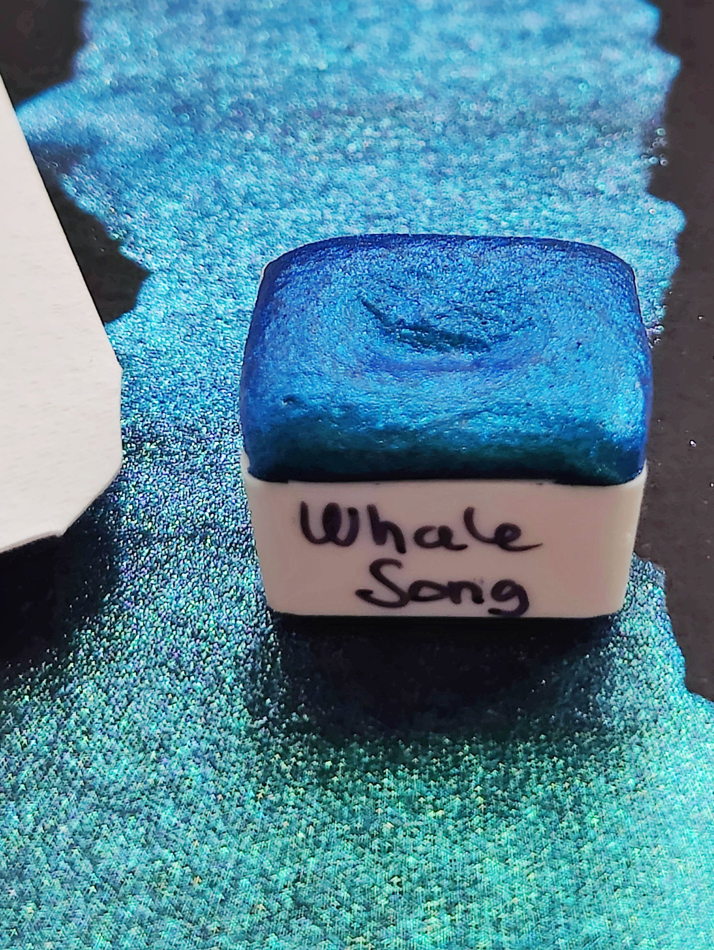 Whale Song