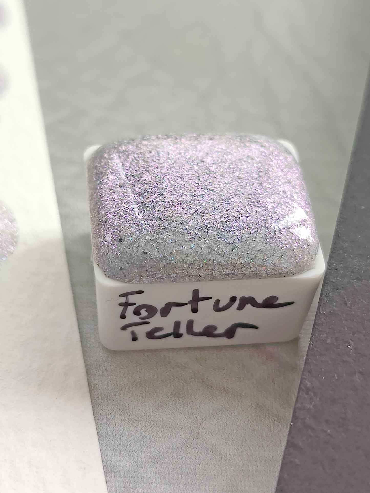 FORTUNE TELLER