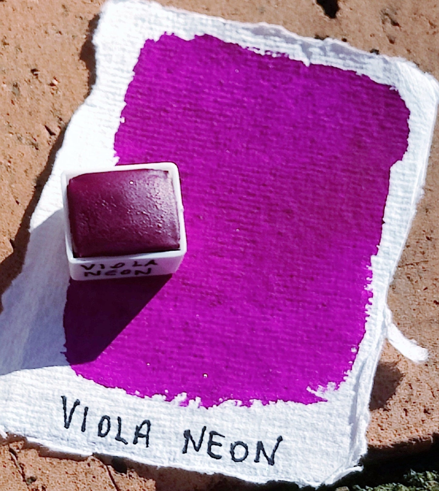 VIOLA NEON