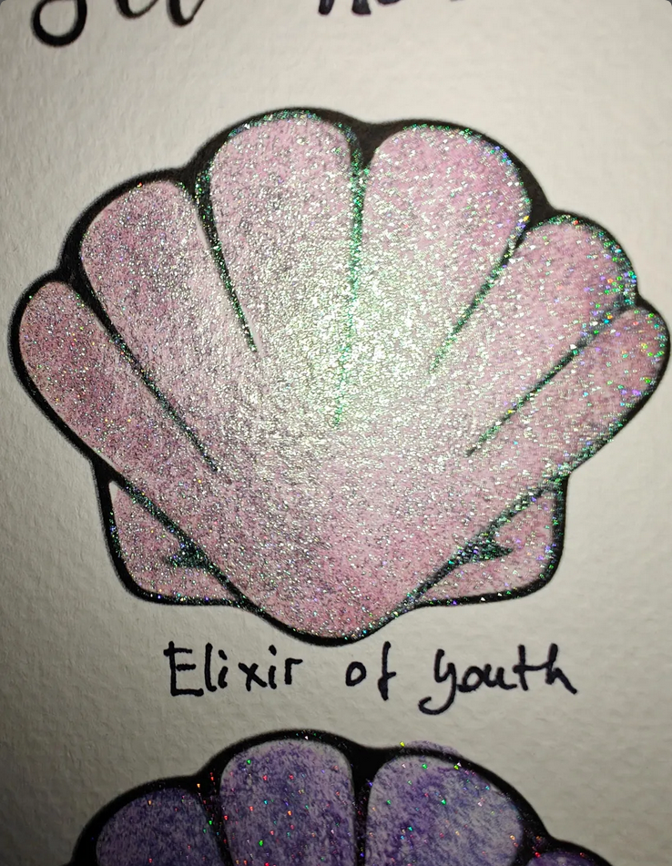 Palette da 6 godet da 1/4 duocolor colorshift Enchanted Spring set HOLO