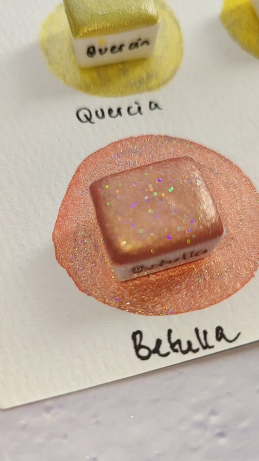 Palette acquerelli Foliage Vol 1 Holo