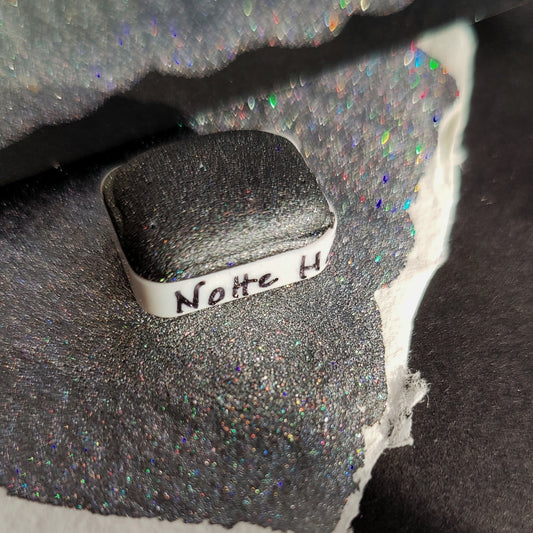 HOLO NIGHT