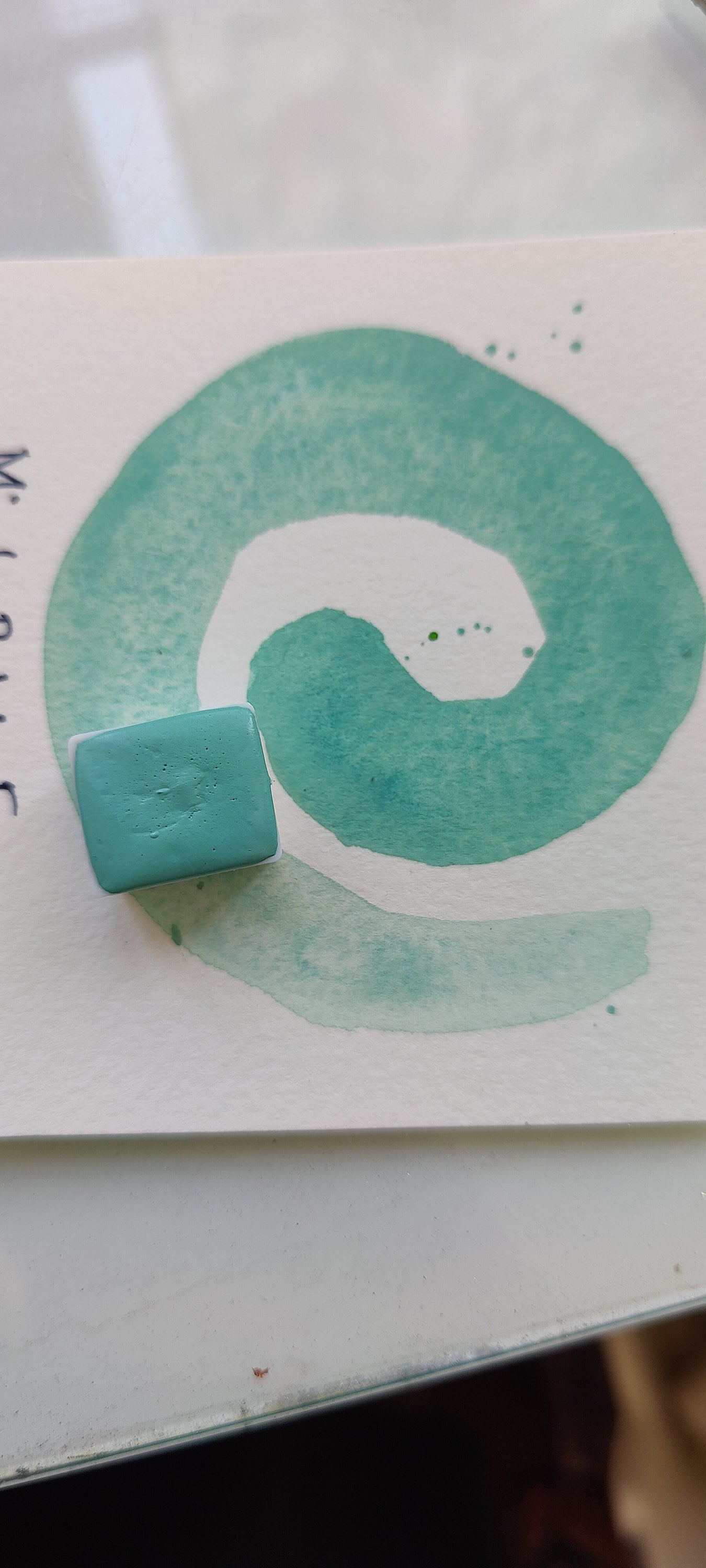 MINT ROBIN EGG