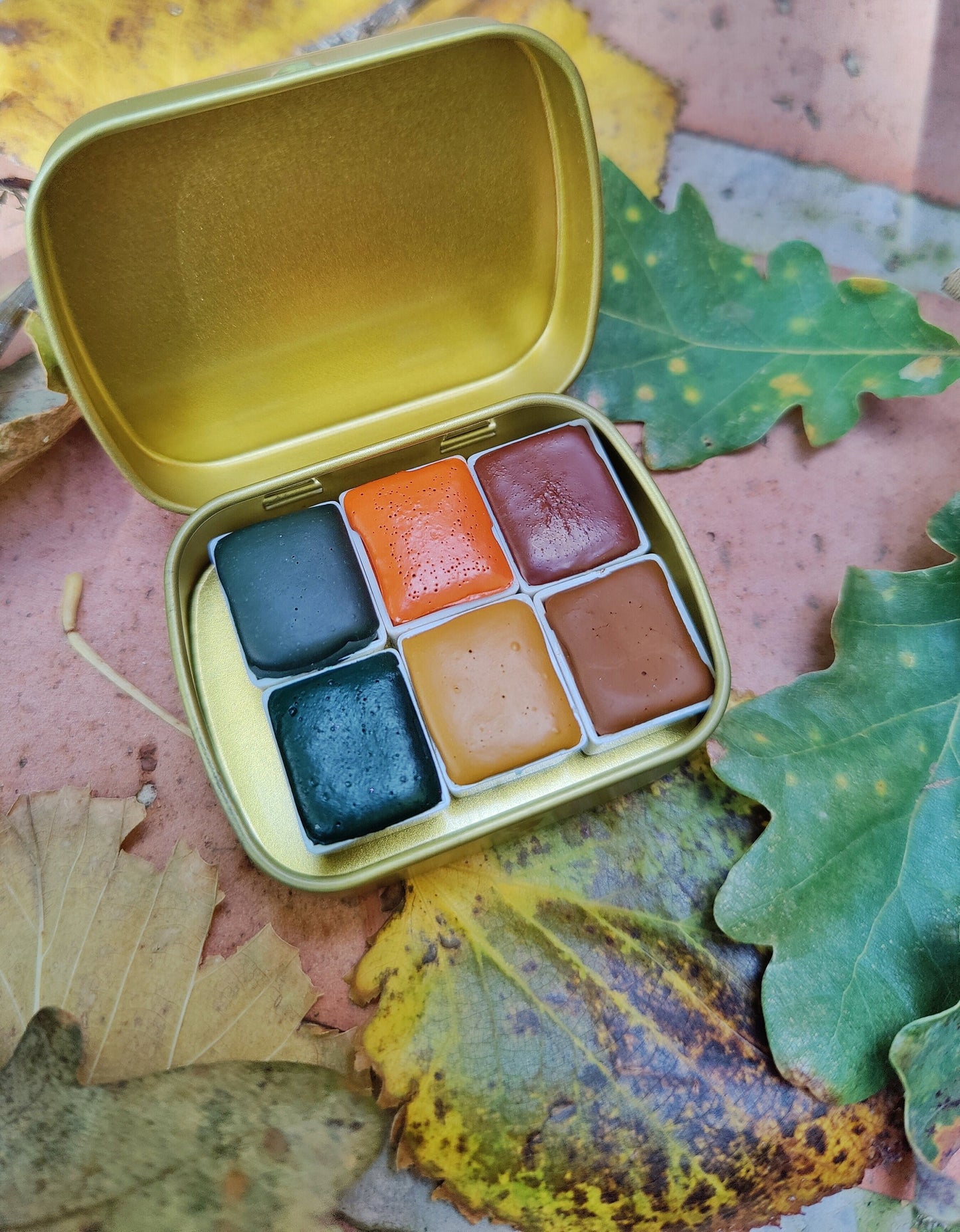 Set FALL VIBES